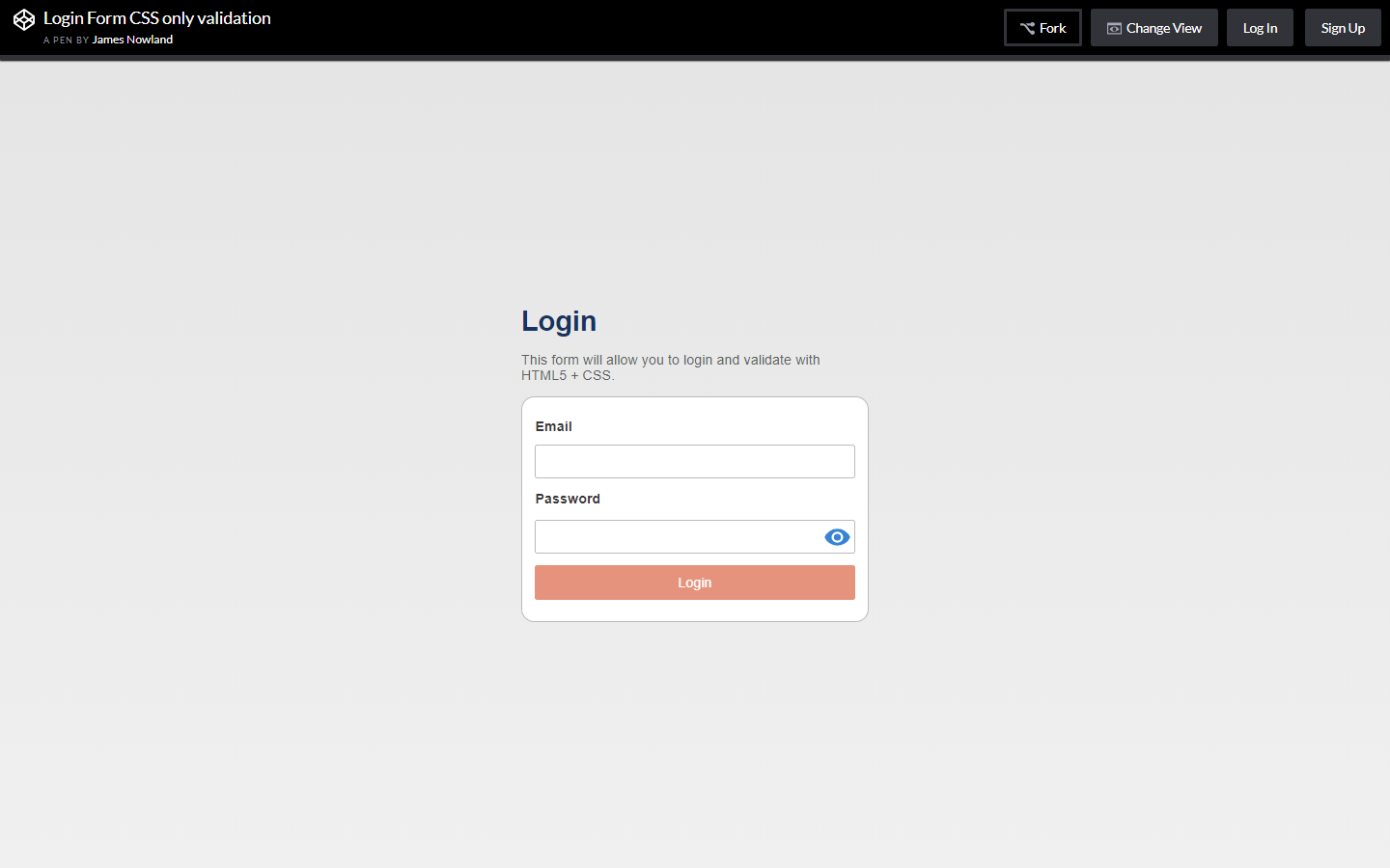 Login Form CSS only validation