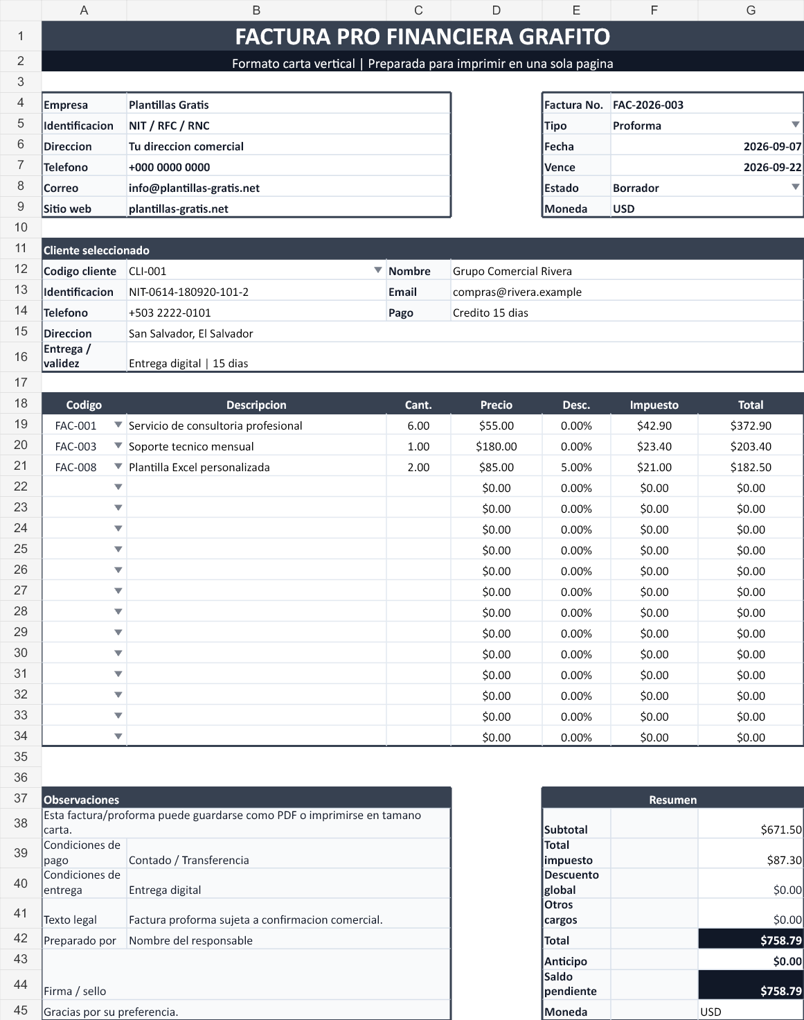 Financiera grafito. Vista con los datos de ejemplo del archivo.